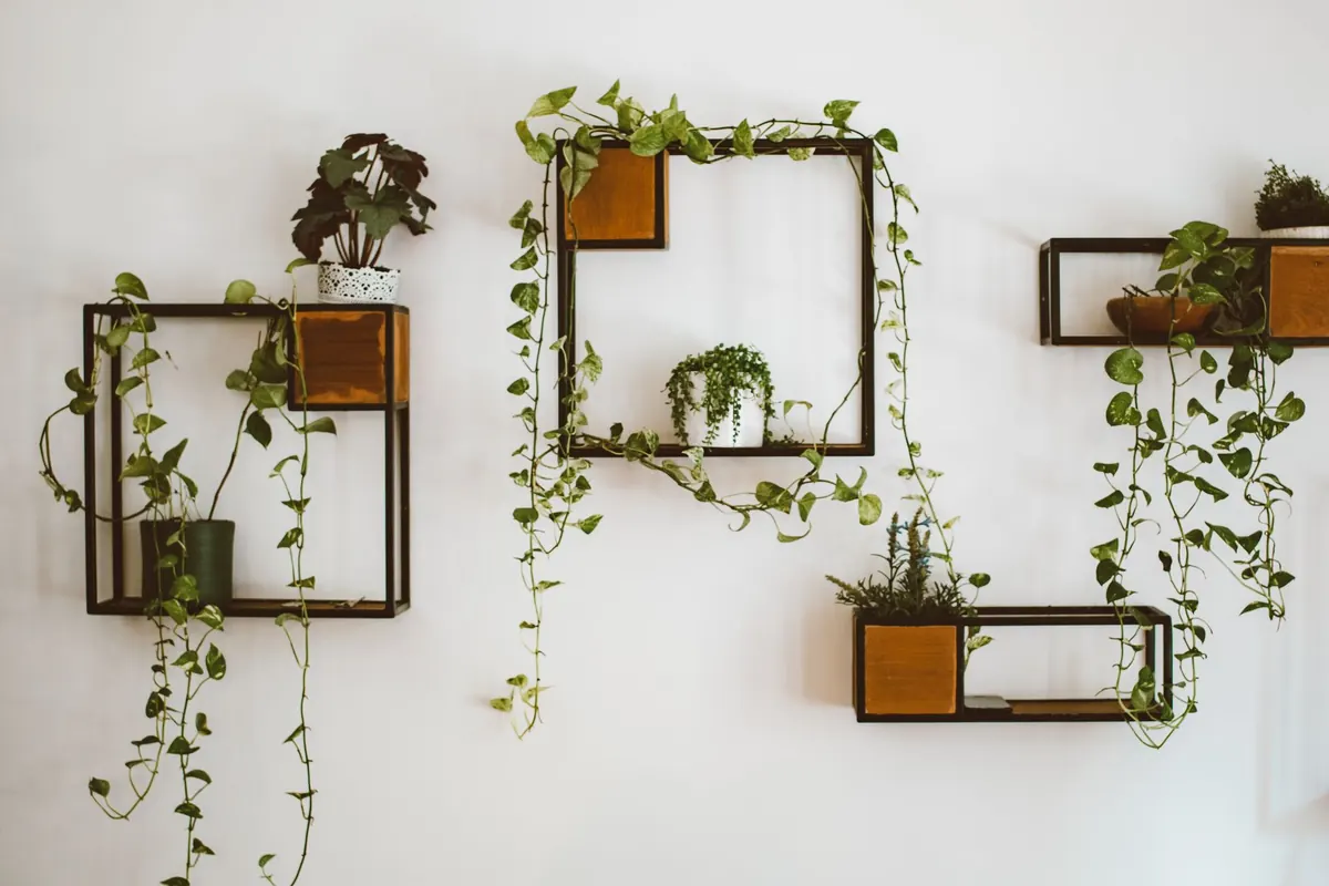 DIY Floating Shelves for Beginners: Tools, Anchors, and Leveling